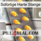 Instant Hard Rod cialis1